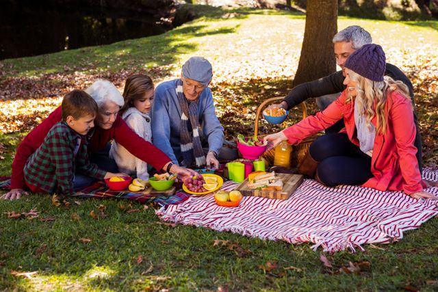 Family Enjoying Picnic in Park - Download Free Stock Photos Pikwizard.com