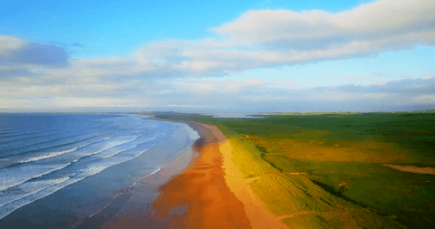 Transparent blue sky over pristine beach at golden hour