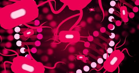 DNA and Neuron Cells Digital Illustration on Black Background