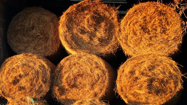 Close-up view of stacked hay bales glowing in warm evening light. Ideal for illustrating agricultural themes, rural lifestyle, farming, and seasonal harvest. Suitable for use in blogs, websites, magazines focusing on countryside living and farm activities.