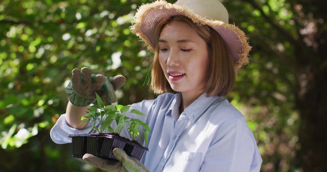 Asian woman wearing sun hat and gloves, planting seedlings outdoors. Ideal for content related to gardening, sustainable living, agriculture, nature hobbies, summer activities, and environmental conservation. Great for articles, blog posts, and advertisements promoting eco-friendly practices and outdoor recreation.