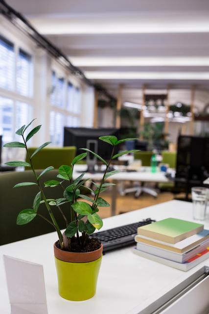 Pot plant with stack of books on desk in a office