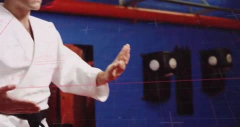 Martial Arts Sensei Demonstrating Precision in Kata Practice