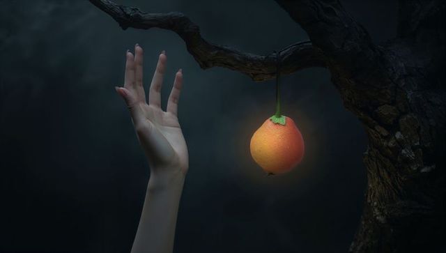 Reaching hand toward glowing orange fruit on twisted branch at night for mystical concept