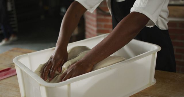 Hands Kneading Dough in White Container in Bakery - Download Free Stock Images Pikwizard.com