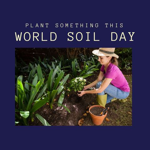 Celebrating World Soil Day with Gardening - Download Free Stock Templates Pikwizard.com