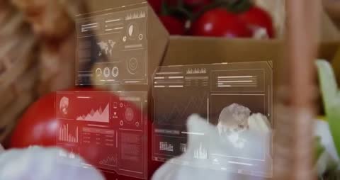 Futuristic Data Interface Over Tomatoes and Garlic