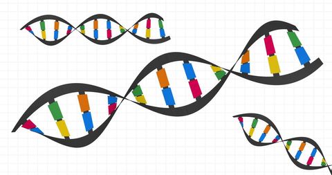 Colorful dna strands on white background