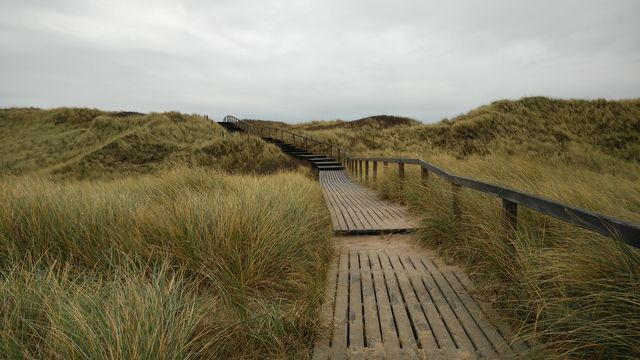 Image shows a wooden boardwalk winding through coastal sand dunes under an overcast sky. Ideal for use in travel blogs, nature-oriented websites, or promotional materials concerning eco-tourism or coastal preservation.