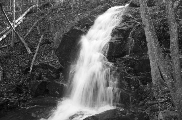 This black and white image captures a waterfall flowing over rocks in a forest with bare trees. Ideal for projects about nature, outdoor adventures, and tranquility.