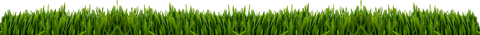 Transparent green grass border backgrounds and nature concept