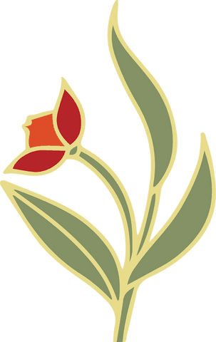 Stylized tulip illustration with transparent background