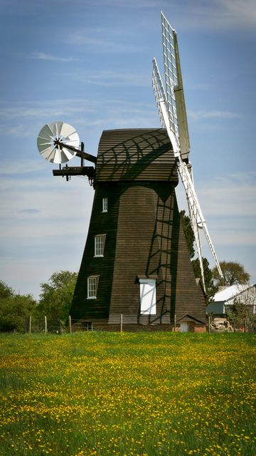 This image portrays a historic windmill surrounded by a blooming field of wildflowers on a sunny day. The rustic charm and traditional architecture of the windmill create a picturesque rural scene. Perfect for use in travel brochures, agricultural articles, countryside tourism promotions, and educational materials related to historic buildings and renewable energy.