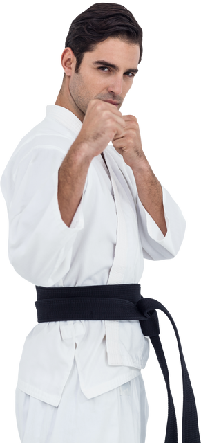 Martial Artist Performing Karate Stance Wearing Traditional Gi - Download Free Stock Videos Pikwizard.com