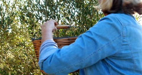 Woman Carrying Wicker Basket in Lush Green Garden - Download Free Stock Images Pikwizard.com