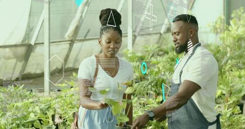 Greenhouse gardener guiding customer choosing potted plant for sustainable home greenery