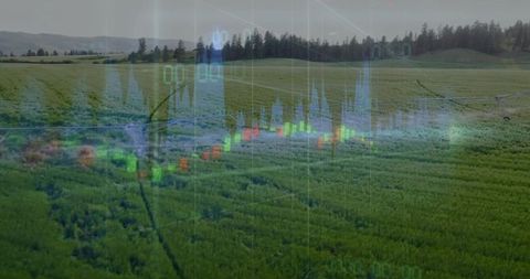 Digital Candlestick Chart Superimposed on Expansive Farmland