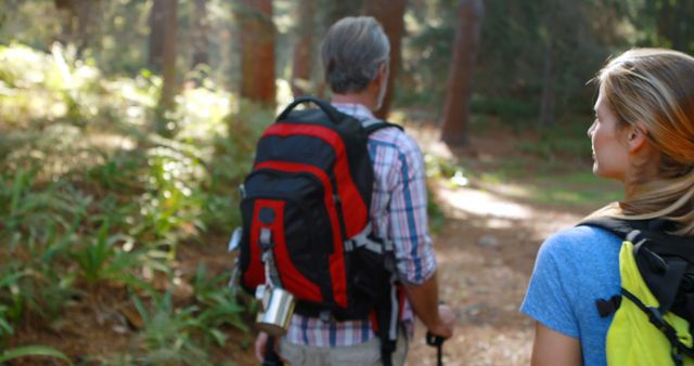 Hikers Walking in Forest on Sunny Day - Download Free Stock Images Pikwizard.com