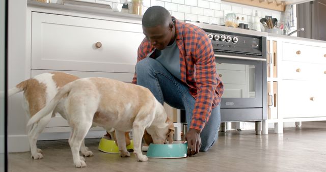 Happy african american man giving bowls with food to pet dogs in a kitchen at home. Lifestyle, food and drink, pets and domestic life, unaltered.