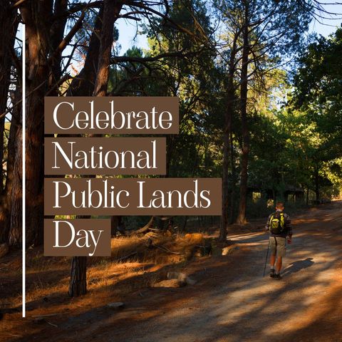 Hiker Celebrating National Public Lands Day in Tranquil Forest - Download Free Stock Templates Pikwizard.com