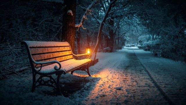 Lantern illuminating snowy park bench at night
