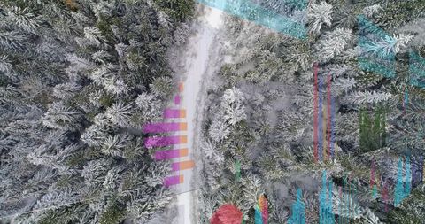 Aerial winter forest cutting through snow road with colorful glitch overlay, drone top-down