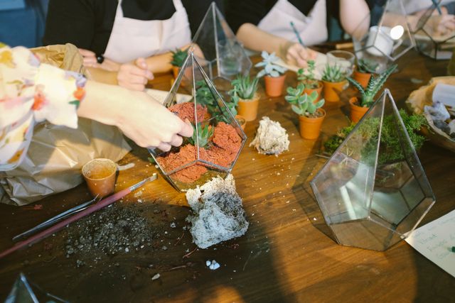 Hands seen crafting terrariums with succulents and soil. Ideal for promoting DIY activities, creative workshops, team bonding events, and leisure activities involving nature and plants.