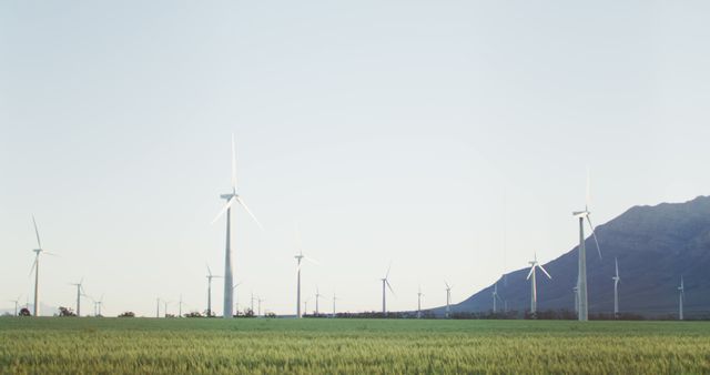This image showcases multiple wind turbines spread across a vast green field, with mountains visible in the background. Ideal for promoting renewable energy, sustainable practices, or educational materials about clean energy sources. Can be used for environmental campaigns, green energy company websites, or any content advocating eco-friendly solutions.