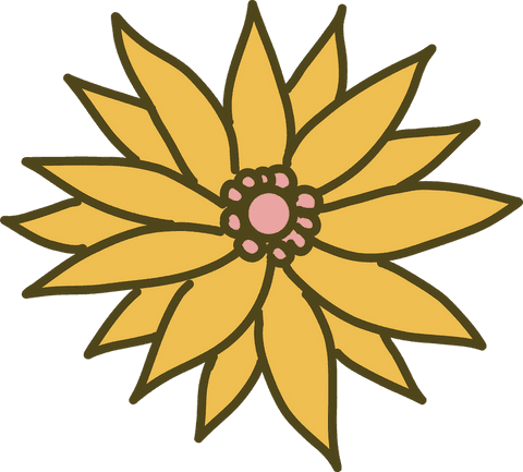 yellow flower with transparent background in minimalistic design - Download Free Stock Videos Pikwizard.com