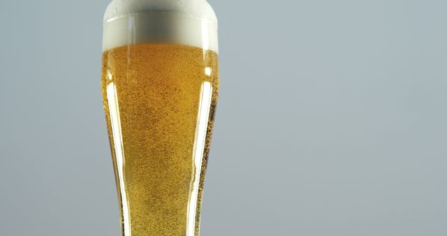 A close-up of a tall glass filled with golden beer topped with frothy foam. This can be used for bar and pub advertisements, articles about beverages, or promotions for alcoholic drinks. It is perfect for conveying refreshment and relaxation.