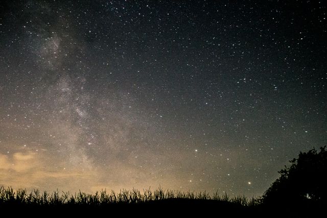 A breathtaking view of the night sky filled with stars and the Milky Way galaxy above a field horizon. Use for themes related to nature, astronomy, tranquility, and the cosmos. Ideal for educational content on astronomy, background images for nature-related projects, or promotional material highlighting the serenity of rural landscapes.