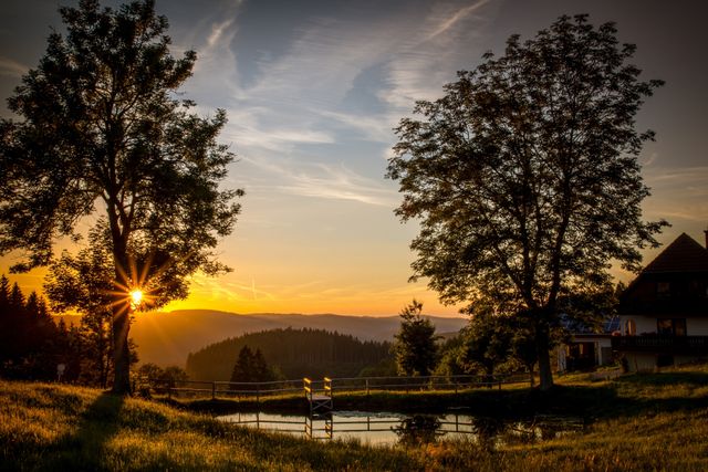 This image captures a breathtaking sunset view over a tranquil pond in the countryside. It features silhouettes of trees and mountains in the background, with the sun setting between two trees, casting a warm golden glow across the landscape. Perfect for nature themes, travel brochures, and relaxation content, evoking feelings of peace and tranquility.