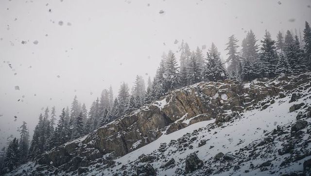 Snowy rocky ridge with fog and falling snow, evergreen pines on alpine talus slope