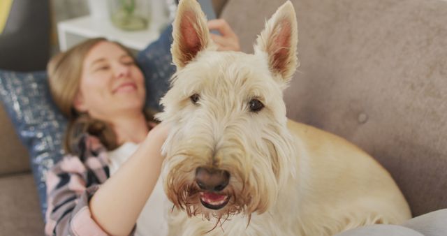 Woman is lying on a couch with a Scottish Terrier dog, creating a warm and happy atmosphere. Ideal for topics related to home life, pet companionship, relaxation, and domesticity.