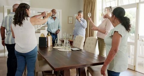 Group of Diverse Seniors Toasting at Home Celebration Gathering
