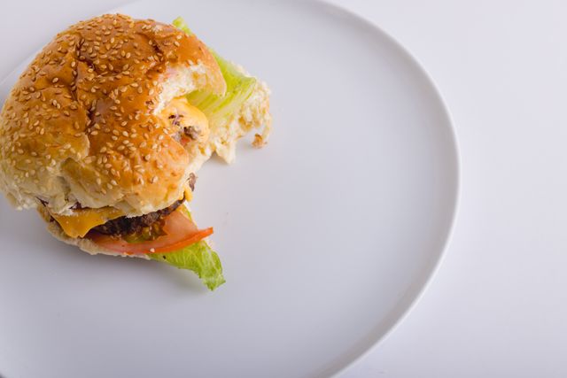 High angle view of half eaten burger in plate on white background, copy space. unaltered, food, fried food, studio shot, unhealthy eating and snack.