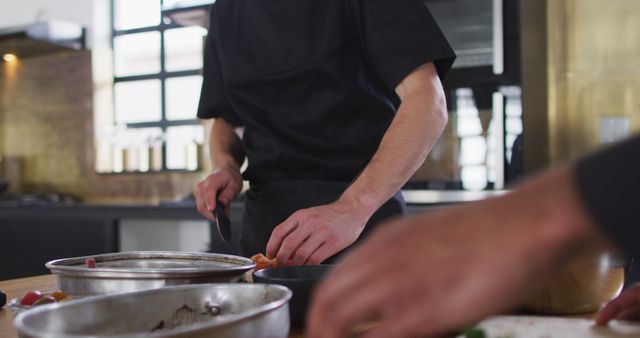 Chefs Chopping Vegetables in Modern Kitchen - Download Free Stock Images Pikwizard.com