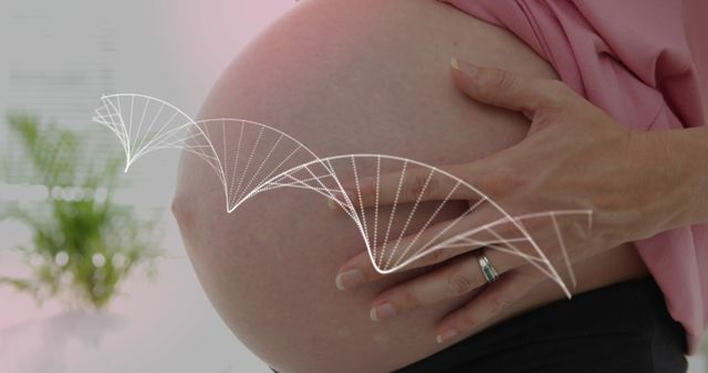 Pregnant Woman Touching Belly with DNA Concept Overlay - Download Free Stock Images Pikwizard.com