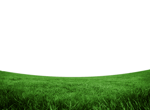 grass field stretching across transparent background, verdant lawn - Download Free Stock Videos Pikwizard.com
