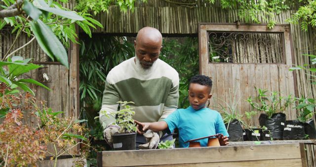 An elderly man and young boy gardening together, highlighting family bonding and teamwork. Perfect for themes involving family activities, outdoor hobbies, intergenerational relationships, and nature-related projects. Suitable for advertisements, blogs, and articles on family life and gardening.