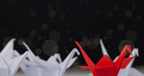Origami Crane Fan Club: A Fiesta of Color - Red and White Burst on Dark Stage - Download Free Stock Images Pikwizard.com