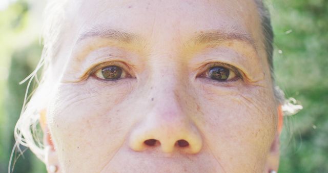 Close-up of Elderly Woman's Eyes in Natural Light - Download Free Stock Images Pikwizard.com