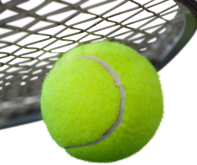 Green Tennis Ball and Racket Illustration Isolated on Transparent Background - Download Free Stock Videos Pikwizard.com