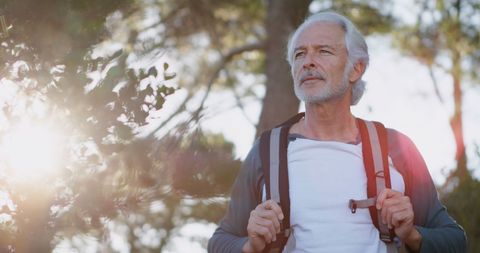 Senior Caucasian Man Hiking Peacefully in Sunny Woods - Download Free Stock Images Pikwizard.com