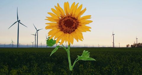 Painted sunflower towering over wind farm at sunset contrasting nature and green energy