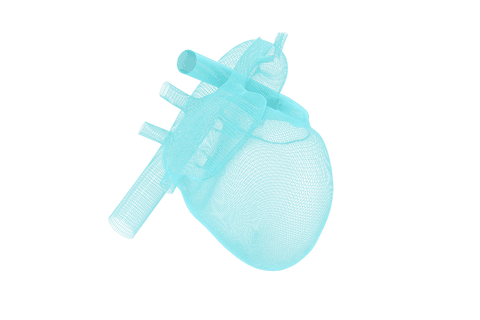 transparent 3d heart model illustration isolated on white background - Download Free Stock Videos Pikwizard.com