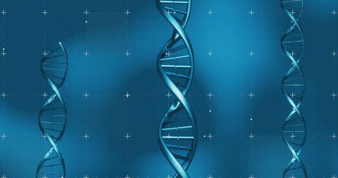 Digital Visualization of DNA Strands in Technology Interface - Download Free Stock Images Pikwizard.com