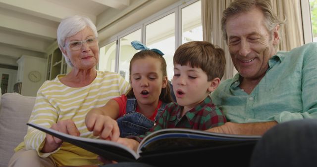 Grandparents Enjoying Storytime with Enthusiastic Grandchildren at Home - Download Free Stock Images Pikwizard.com