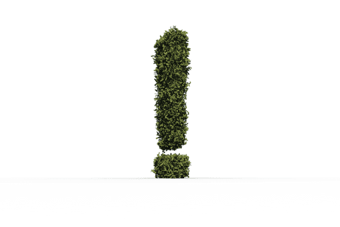grass exclamation mark on transparent background - Download Free Stock Videos Pikwizard.com