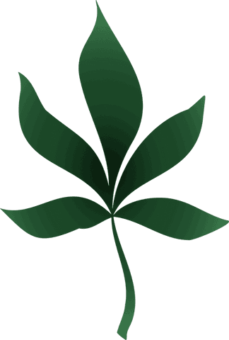 Transparent green palmate leaf with smooth gradient design